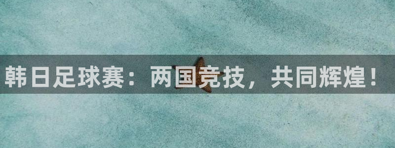 xc是哪里的车牌