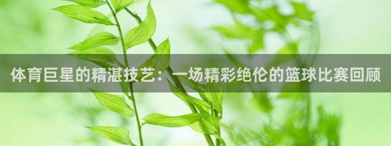 杏彩xc体育3在线注册