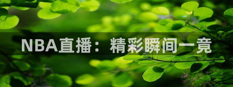 杏彩xcf凯捷平台在线注册