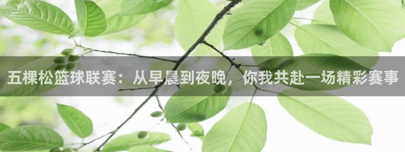 女人xc是什么意思