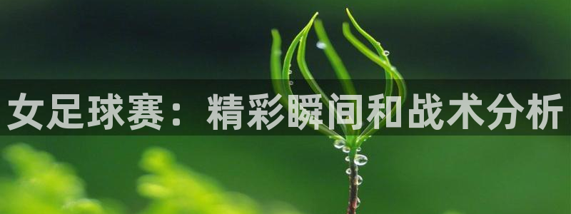 xc和xc有什么不同