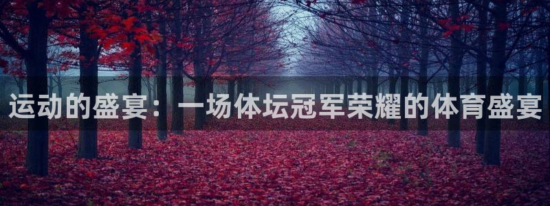杏彩xc代理注册官网入口